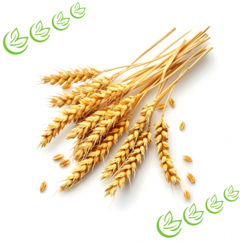 Phytokeratin P 5 kg